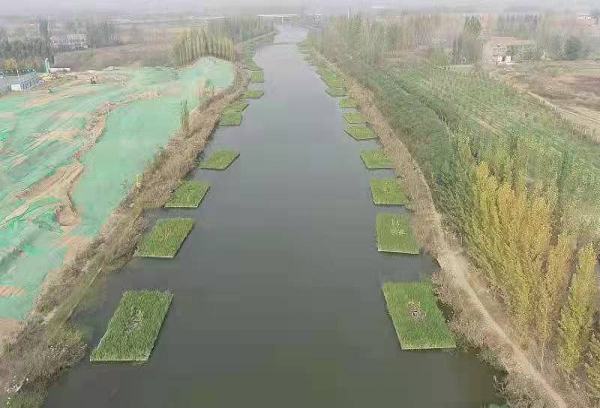 鱼台县西城区市政基础设施建设及水环境治理